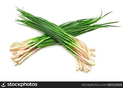leaves of green onions isolated on white