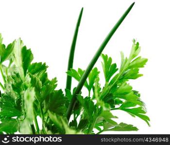 Leaves of parsley and chives