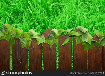 Leaves on a fence