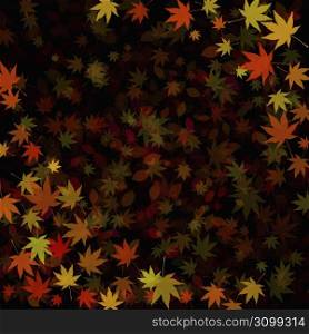 Leaves on black background