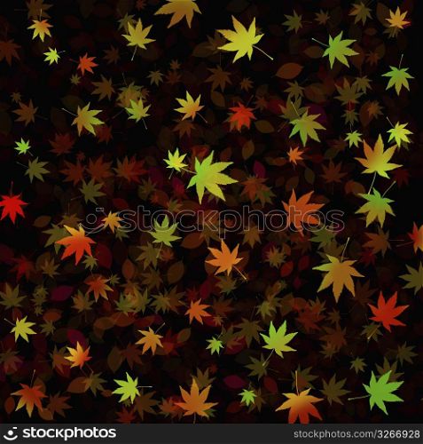 Leaves on black background