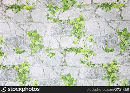 leaves on stone wallpaper
