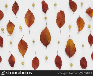 leaves pattern background