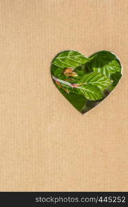 Leaves seen through heart shape cut out of cardboard