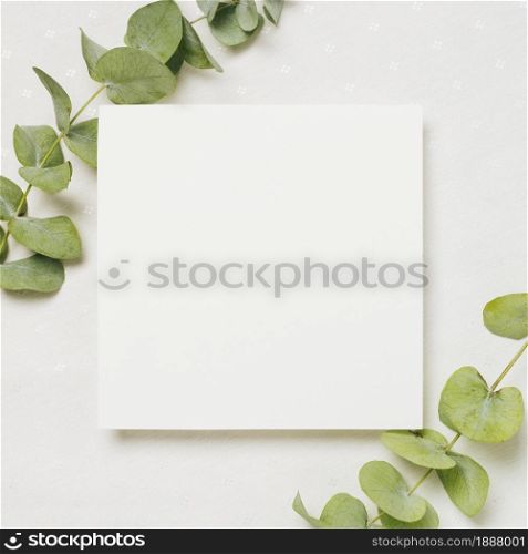 leaves twigs corner white wedding card against backdrop . Resolution and high quality beautiful photo. leaves twigs corner white wedding card against backdrop . High quality and resolution beautiful photo concept