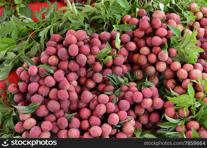 Lechee Fruits at the day Market in the city of Phuket on the Phuket Island in the south of Thailand in Southeastasia.&#xA;&#xA;