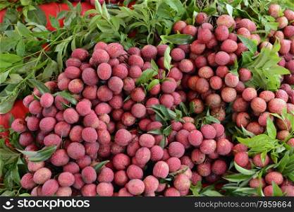 Lechee Fruits at the day Market in the city of Phuket on the Phuket Island in the south of Thailand in Southeastasia.&#xA;&#xA;