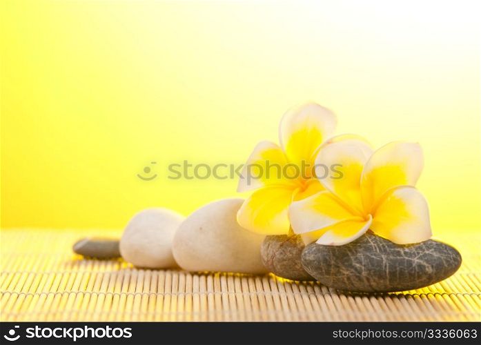 Leelawadee flower and pebbles on bamboo background under warm sunshine