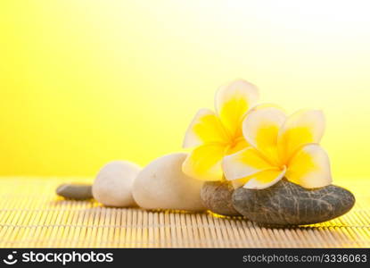 Leelawadee flower and pebbles on bamboo background under warm sunshine