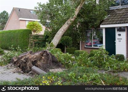 LEEUWARDEN, NETHERLANDS, OKTOBER 28, 2013: Massive storm hit the north of the Netherlands, total damage has been estimated at over 100 million euro.