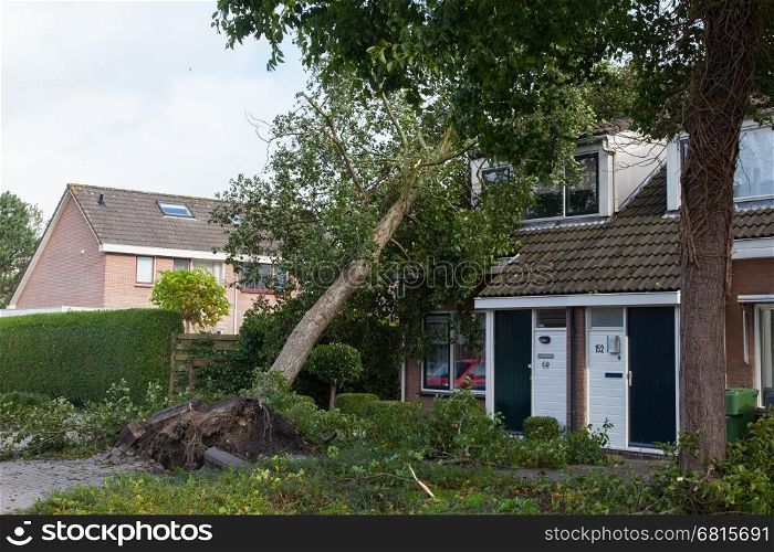LEEUWARDEN, NETHERLANDS, OKTOBER 28, 2013: Massive storm hit the north of the Netherlands, total damage has been estimated at over 100 million euro.