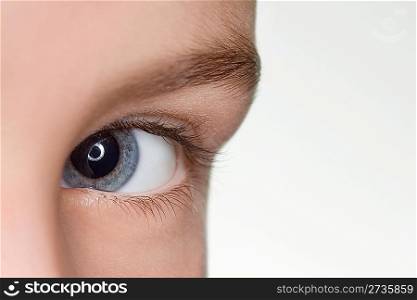left blue eye of child close up isolated on white background