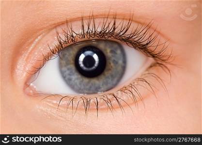left blue eye of child with long eyelashes close up