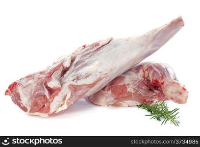 leg and shoulder of lamb in front of white background