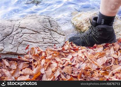 Leg of a man wearing adequate footwear for walking on trails with rocks, water, and fallen autumn leaves. A concept for hiking and traveling.