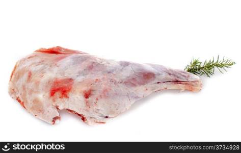 leg of lamb in front of white background