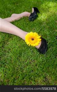 Legs of a women a yellow flower and copyspace