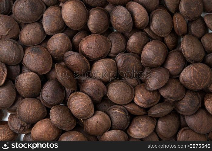 legumes of Sacha inchi or Inca peanut