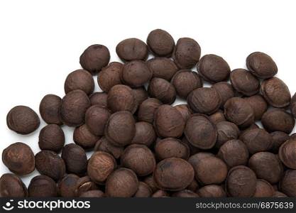 legumes of Sacha inchi or Inca peanut