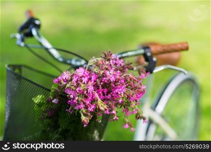 leisure and summer concept - close up of fixie bicycle with flowers in basket outdoors. close up of fixie bicycle with flowers in basket
