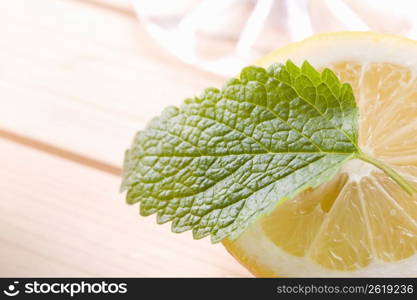 Lemon Balm