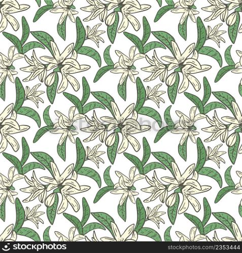 Lemon tree blossom seamless pattern. Background with snowy small white flowers and leaves. Botanical natural template for fabric, paper, wallpaper design vector illustration. Lemon tree blossom seamless pattern
