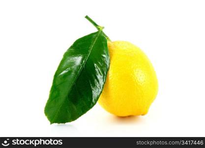 lemon with green leaf on white background Horizontal