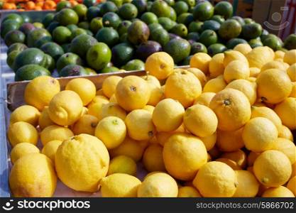 Lemon yellow in the marketplace outdoor in mediterranean Spain