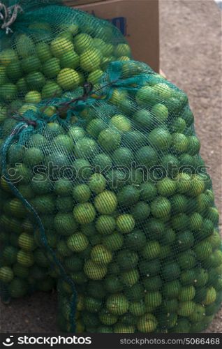 Lemons and Limes in net sacks, Yelapa, Jalisco, Mexico