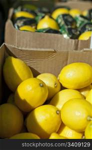 Lemons in boxes in Wholesale market