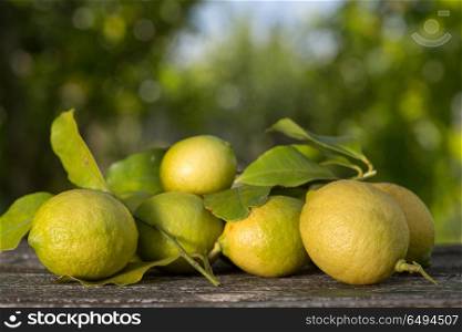 lemons on a old wooden table, outdoor. lemons