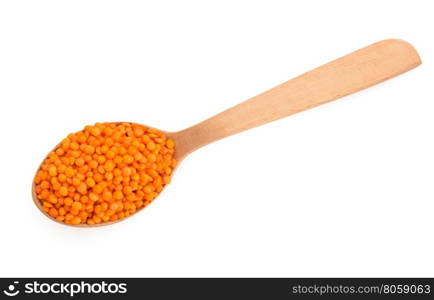 lentil in spoon isolated on white background