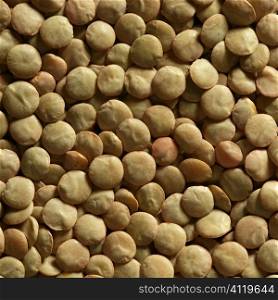 Lentils macro crop texture in brown color