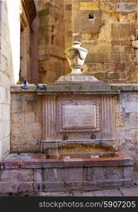 Leon Carlos IV fountain beside Plaza Mayor at Castilla Spain