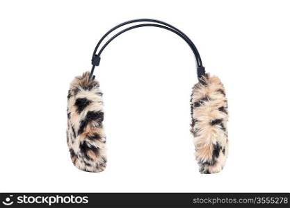 leopard ear-muffs isolated on a white background