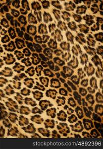 Leopard print background.