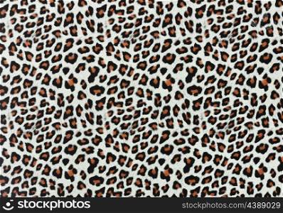 Leopard Spots Texture For Background