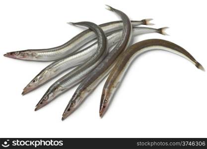 Lesser sand eels on white background