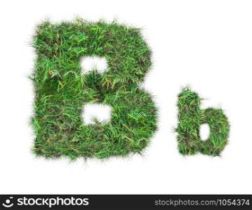 letter B on green grass isolated on over white background