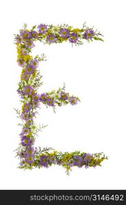 Letter E In A Purple And White Flower Font