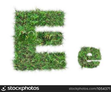 letter E on green grass isolated on over white background