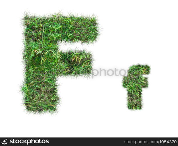 letter F on green grass isolated on over white background