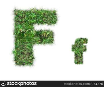 letter F on green grass isolated on over white background