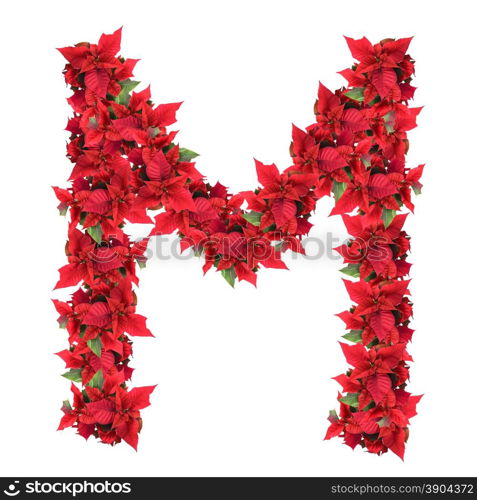 letter from red christmas flowers isolated on white