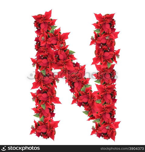 letter from red christmas flowers isolated on white