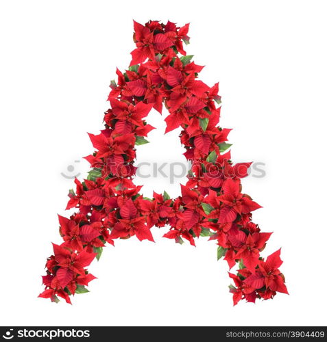 letter from red christmas flowers isolated on white