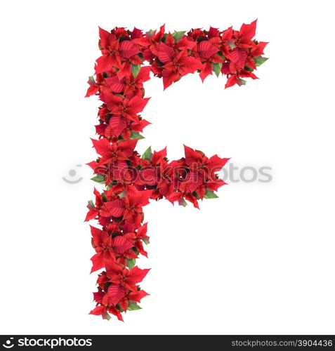 letter from red christmas flowers isolated on white