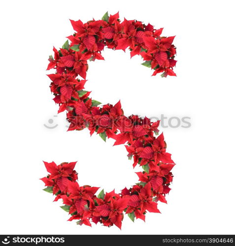 letter from red christmas flowers isolated on white