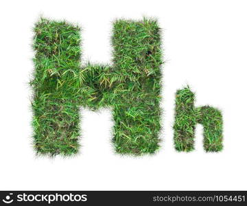 letter H on green grass isolated on over white background