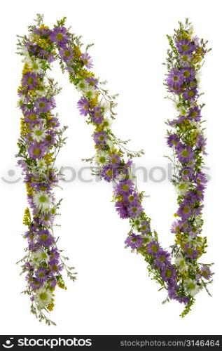Letter N In A Purple And White Flower Font